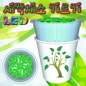 LED 새싹채소 기르기 (씨앗발아기)